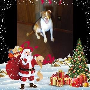 Meet your Posher, Beverly